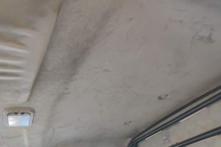 Used FORTHING Lingzhi M5 2023 Van Version Classic 2-Seater Headliner