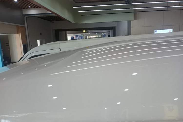Used FORTHING Lingzhi M5 2024 460 km Range Passenger Version Standard Type 9 Seats Roof