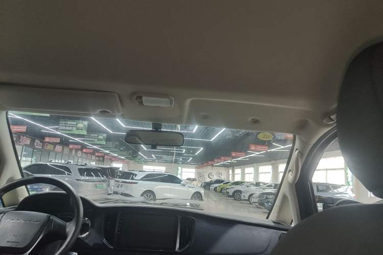 Used FORTHING Lingzhi M5 2025 Model, 420km Pure Electric Urban Version, 5-seater Headliner