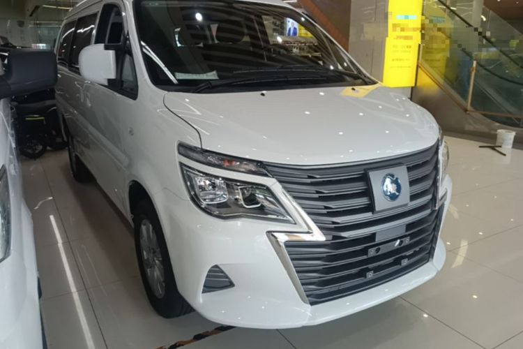 Used FORTHING Lingzhi M5 2025 Model 460km Basic Version, 9 Seats Exterior 1