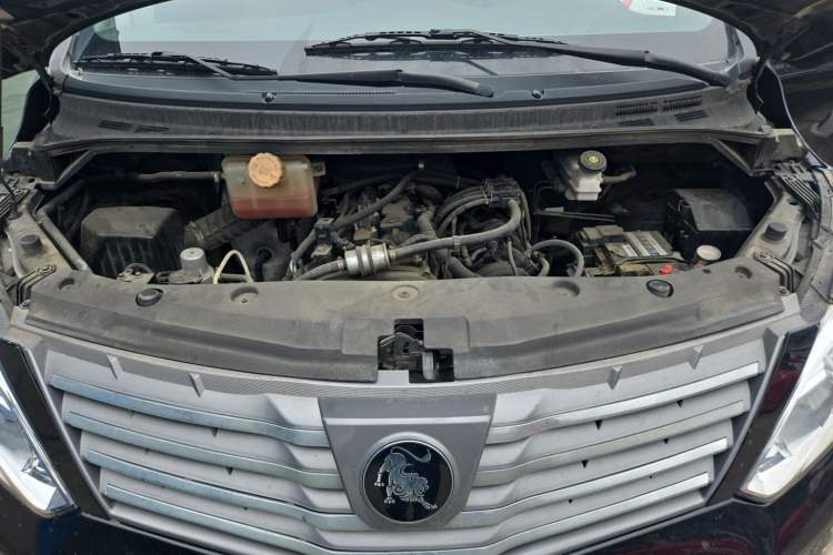 Used FORTHING Lingzhi PLUS 2021 2.0L Manual Comfort Model CNG 7-Seater Engine Bay