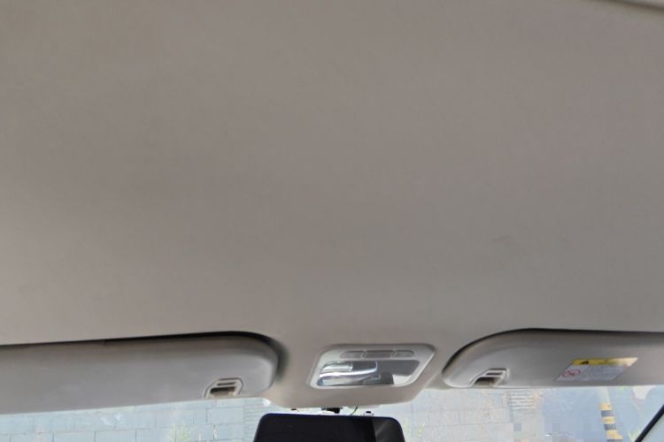 Used FORTHING Lingzhi PLUS 2021 Travel Edition 2.0L Manual Luxury 7-Seater Headliner