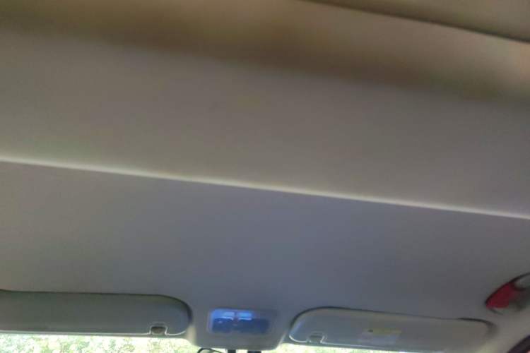 Used FORTHING Lingzhi PLUS 2021 2.0L Manual Comfort Version 7 Seats Headliner