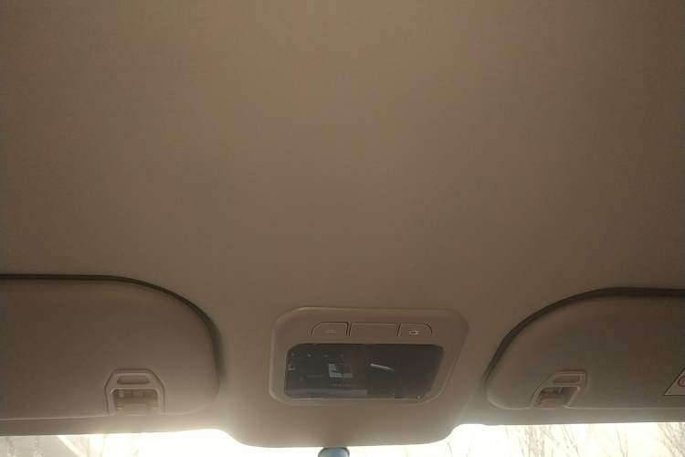 Used FORTHING Lingzhi PLUS 2021 2.0L Manual Comfort Version 7 Seats Headliner