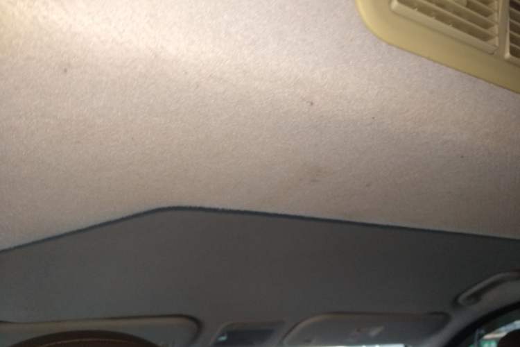 Used FORTHING Lingzhi PLUS 2021 2.0L Manual Luxury 7-Seater Headliner