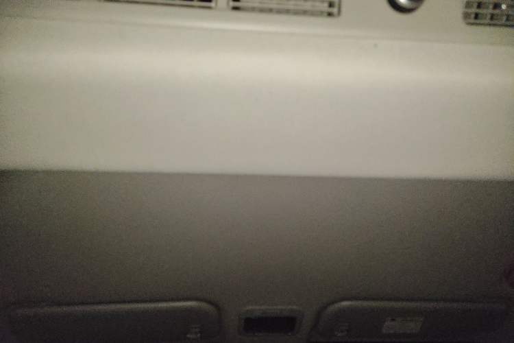 Used FORTHING Lingzhi PLUS 2021 Travel Edition 2.0L Manual Luxury 7-Seater Headliner