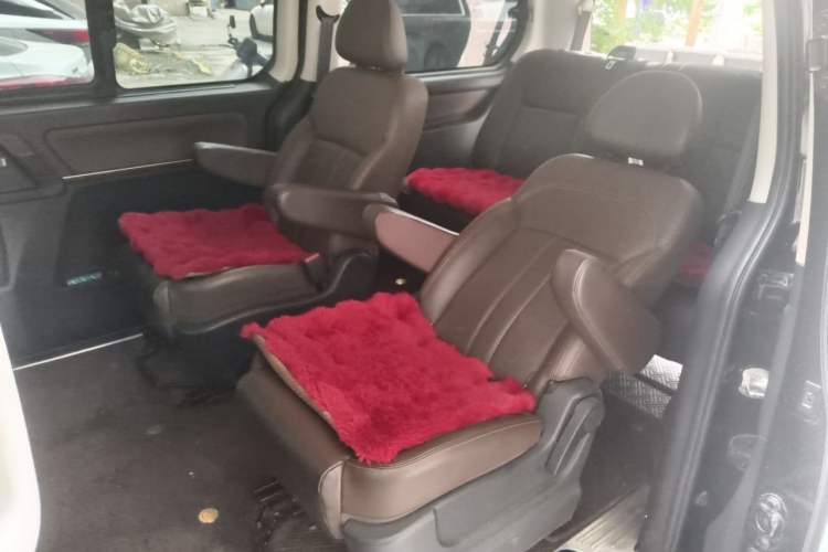 Used FORTHING Lingzhi PLUS 2021 Travel Edition 2.0L Manual Luxury 7-Seater Left Rear Seat