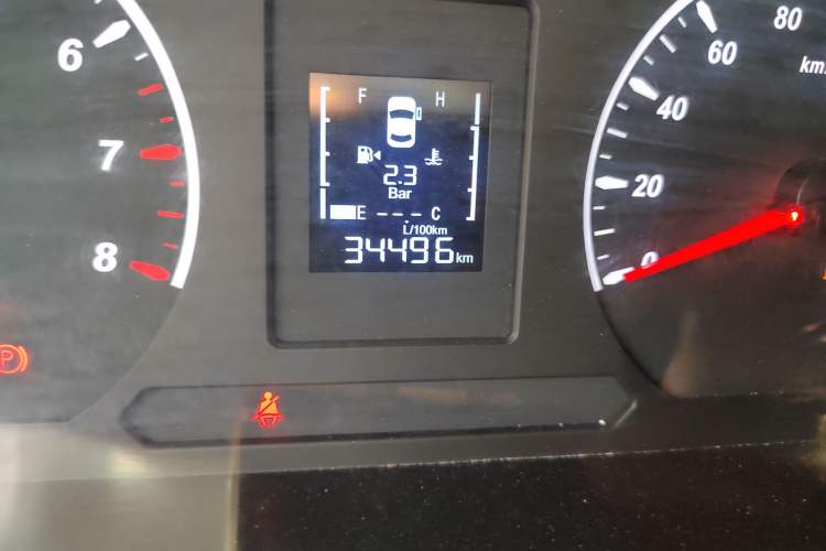 Used FORTHING Lingzhi PLUS 2021 2.0L Manual Comfort Version 7 Seats Odometer Close Up