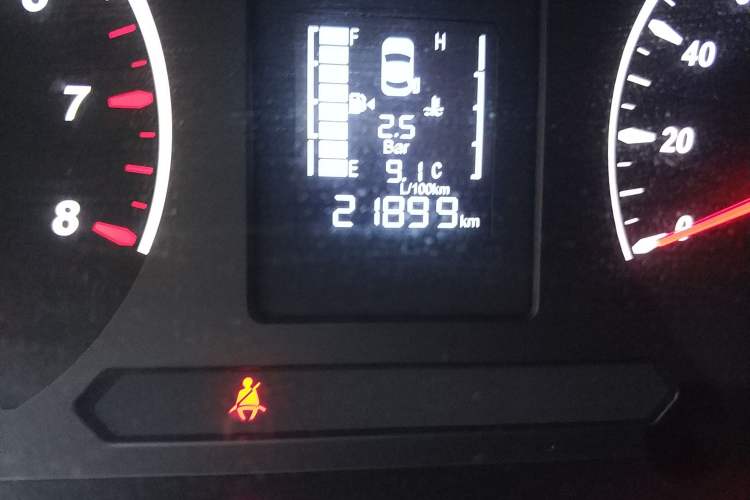 Used FORTHING Lingzhi PLUS 2021 2.0L Manual Luxury 7-Seater Odometer Close Up