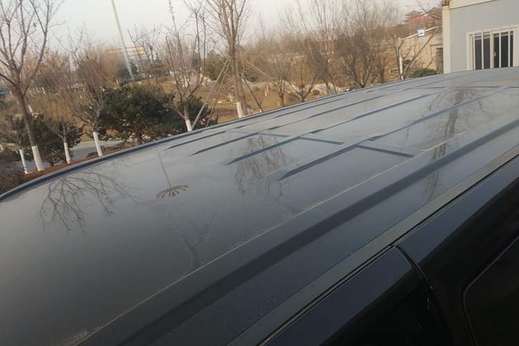 Used FORTHING Lingzhi PLUS 2021 2.0L Manual Comfort Version 7 Seats Roof