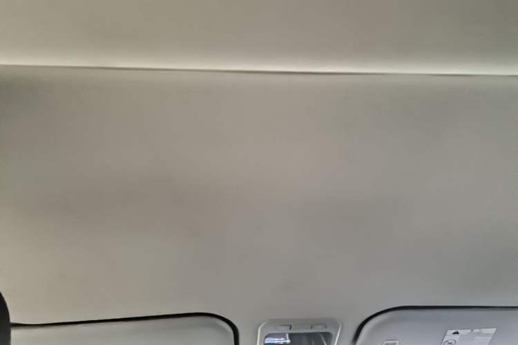 Used FORTHING Lingzhi PLUS 2021 Travel Edition 2.0L Manual Luxury 7-Seater Headliner
