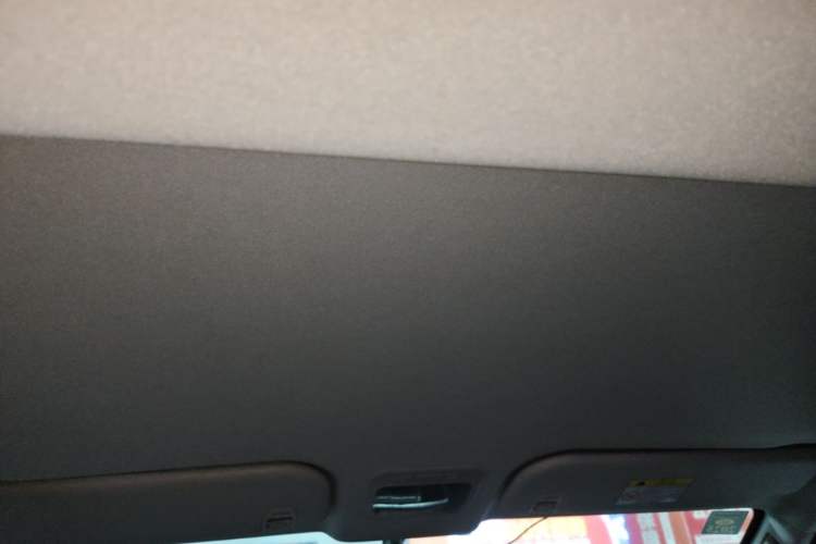 Used FORTHING Lingzhi PLUS 2021 2.0L Manual Luxury 7-Seater Headliner