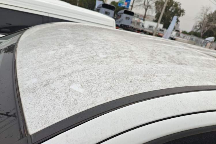 Used FORTHING Lingzhi PLUS 2021 2.0L Manual Comfort Version 7 Seats Roof
