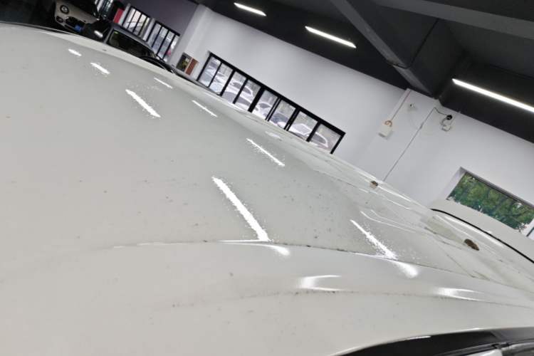Used FORTHING Lingzhi PLUS 2021 2.0L Manual Luxury 7-Seater Roof