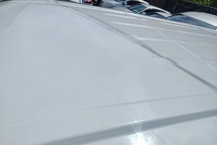 Used FORTHING Lingzhi PLUS 2021 2.0L Manual Luxury 7-Seater Roof