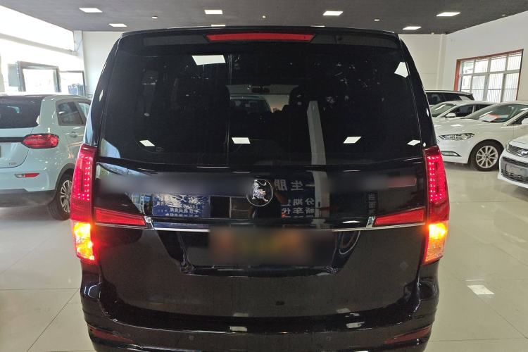 Used FORTHING Lingzhi PLUS 2022 Travel Edition 2.0L Manual Comfort Version 7 Seats Exterior 4