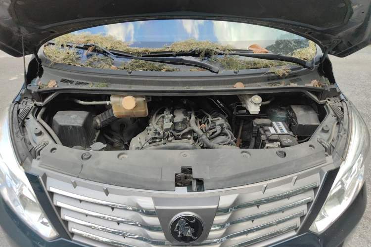 Used FORTHING Lingzhi PLUS 2022 Travel Edition 2.0L Manual Comfort Version 7 Seats Engine Bay