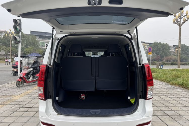 Used FORTHING Lingzhi PLUS 2023 2.0L Manual Luxury CNG 7-Seater Exterior 8