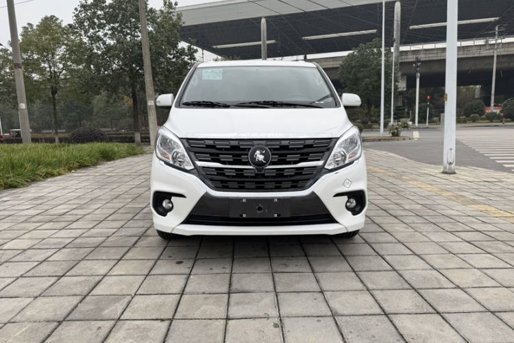 Used FORTHING Lingzhi PLUS 2023 2.0L Manual Luxury CNG 7-Seater Exterior 9