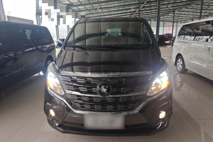 Used FORTHING Lingzhi PLUS 2024 1.5T Manual Luxury 7-Seater Front