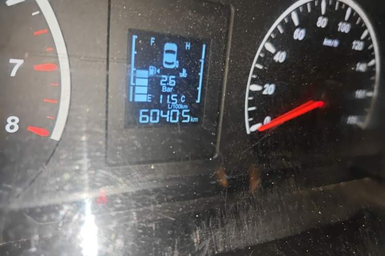 Used FORTHING Lingzhi PLUS 2024 1.5T Manual Luxury 7-Seater Odometer Close Up