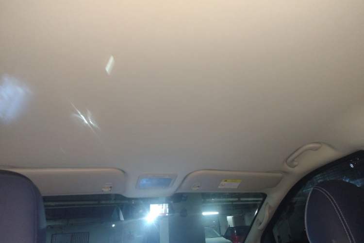 Used FORTHING Lingzhi PLUS 2024 1.5T Manual Luxury 9-Seater Headliner