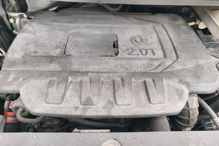 Used FORTHING M7 2019 2.0T Automatic Luxury Edition Engine Bay