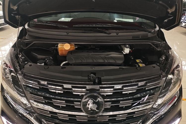 Used FORTHING M7 2022 Lingjue Model 2.0T Automatic Marquis Edition Engine Bay