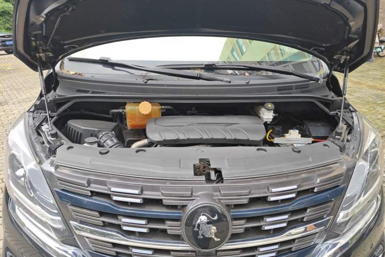 Used FORTHING M7 2022 Lingjue Model 2.0T Automatic Supreme Edition Engine Bay