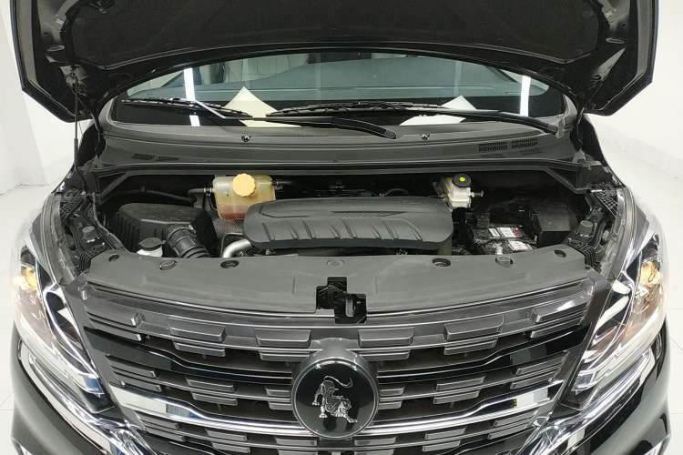 Used FORTHING M7 2022 Lingjue Model 2.0T Automatic Marquis Edition Engine Bay