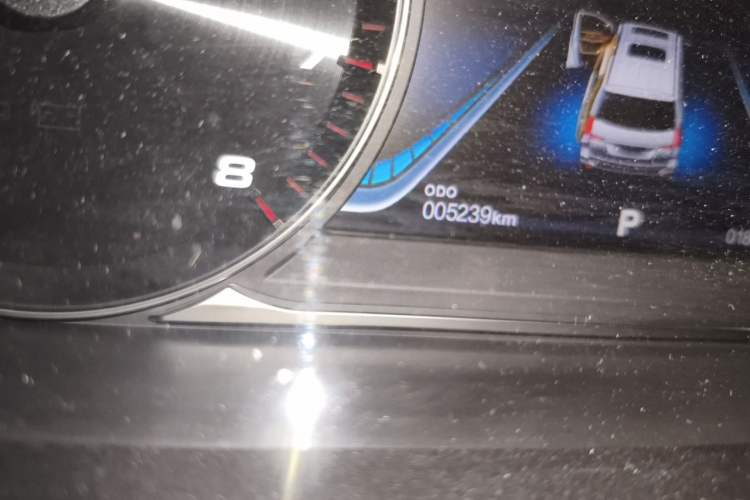 Used FORTHING M7 2022 Lingjue Model 2.0T Automatic Marquis Edition Odometer Close Up