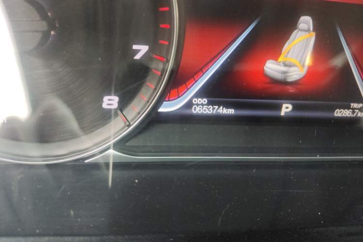 Used FORTHING M7 2022 Lingjue Model 2.0T Automatic Marquis Edition Odometer Close Up