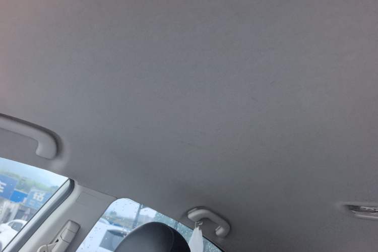 Used FORTHING S50 2019 Operational Version Headliner