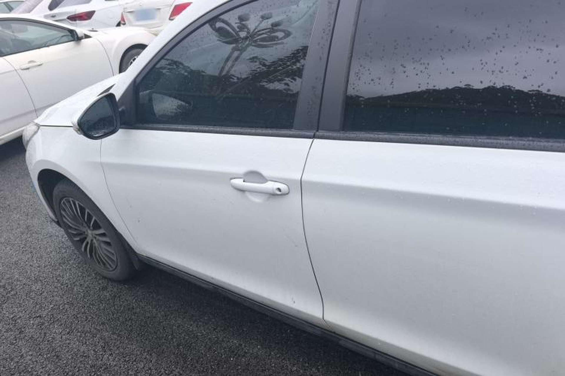 Used FORTHING S50 2019 Operational Version Left Side