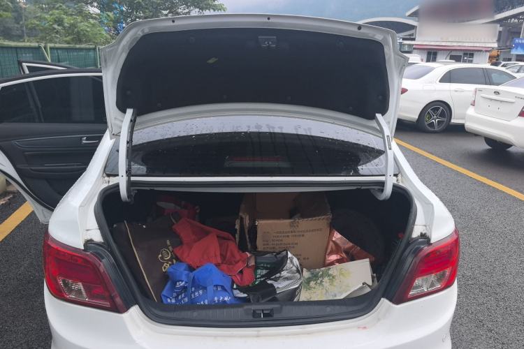 Used FORTHING S50 2019 Operational Version Trunk