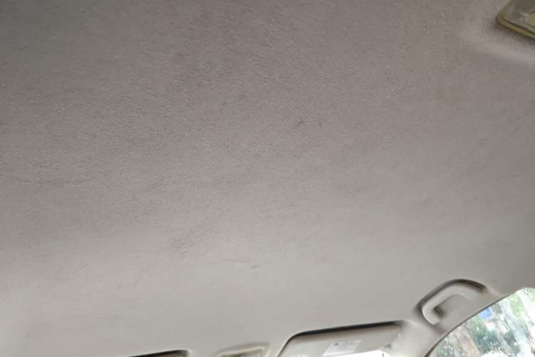 Used FORTHING S50 2018 Luxury Model Headliner
