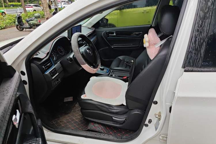 Used FORTHING S50 2018 Luxury Model Left Front Seat