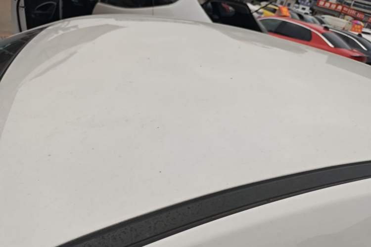 Used FORTHING S50 2019 Operational Version Roof