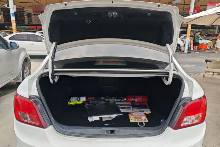 Used FORTHING S50 2019 Operational Version Trunk