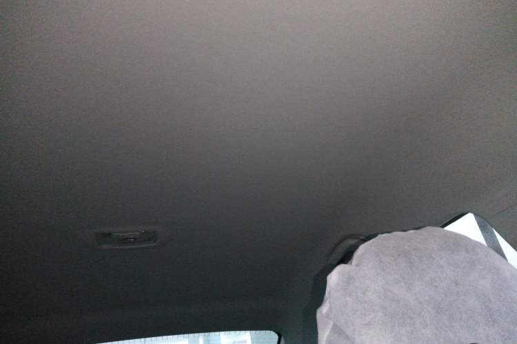 Used FORTHING S50 2021 Battery-Swapping Version Headliner