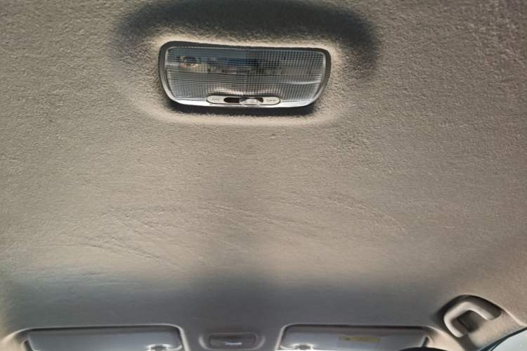 Used FORTHING S50 2021 Operational Type Headliner