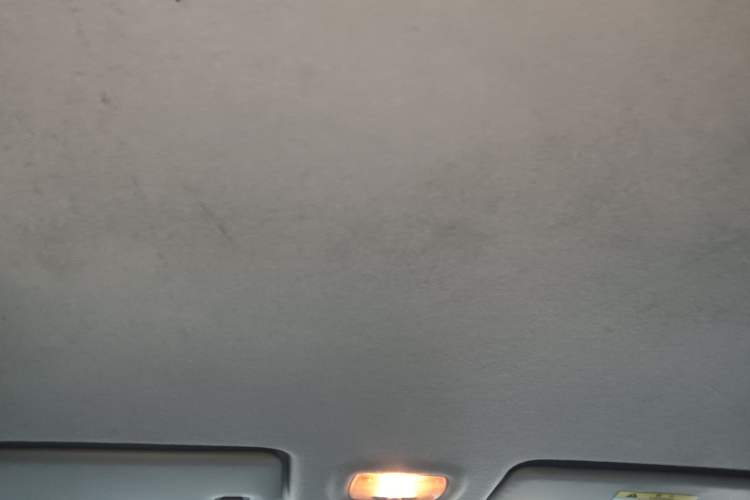 Used FORTHING S50 2021 Operational Type Headliner