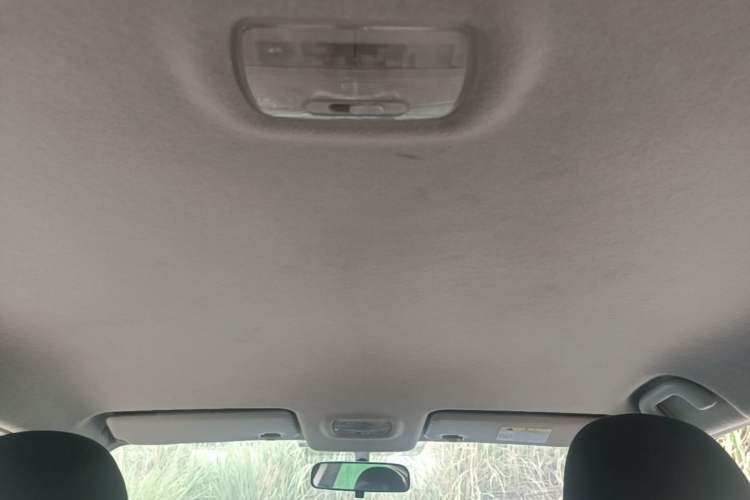 Used FORTHING S50 2021 Online Booking Version Headliner
