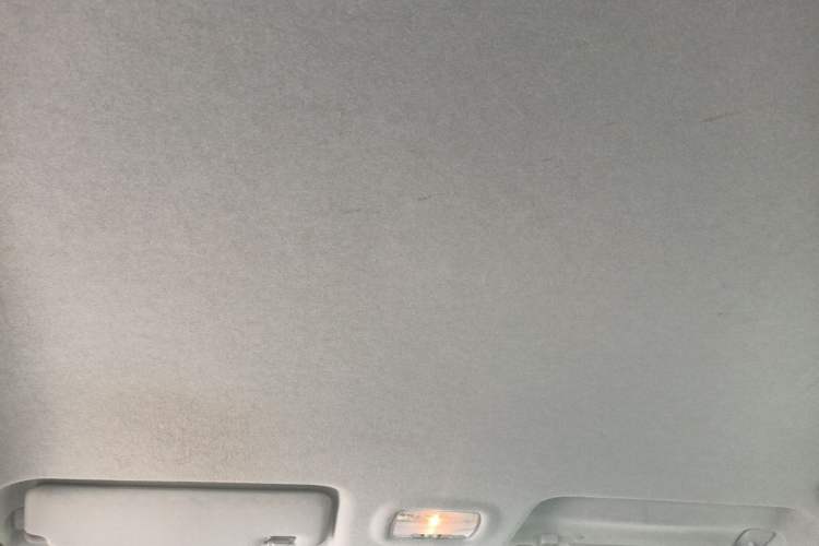 Used FORTHING S50 2021 Operational Type Headliner