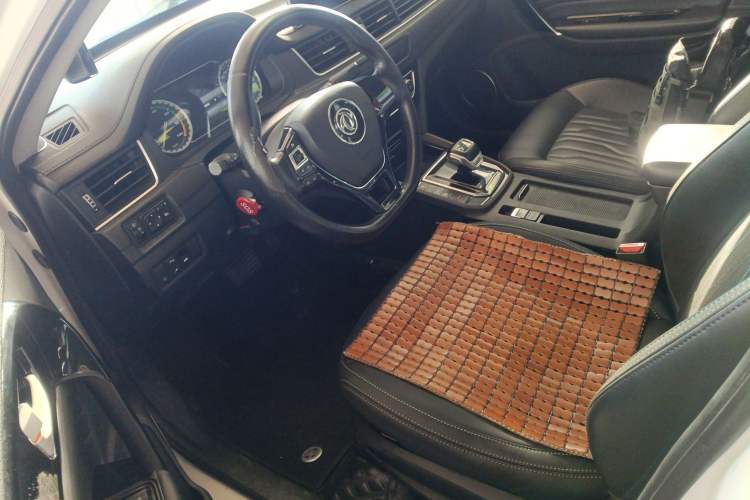 Used FORTHING S50 2021 Luxury Model Left Front Seat