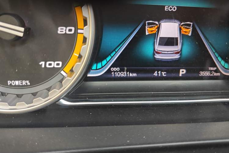 Used FORTHING S50 2021 Operational Type Odometer Close Up
