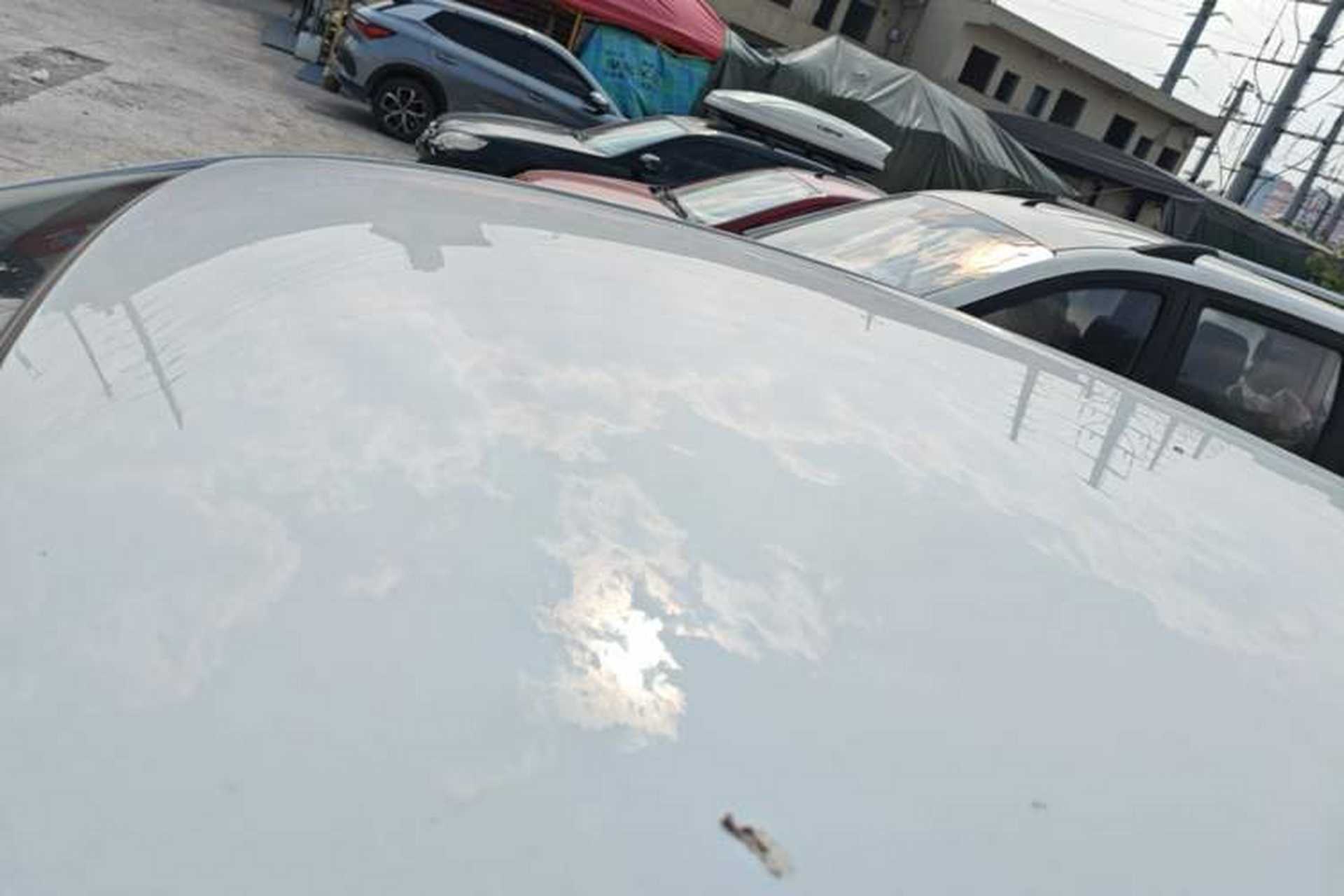 Used FORTHING S50 2021 Operational Type Roof