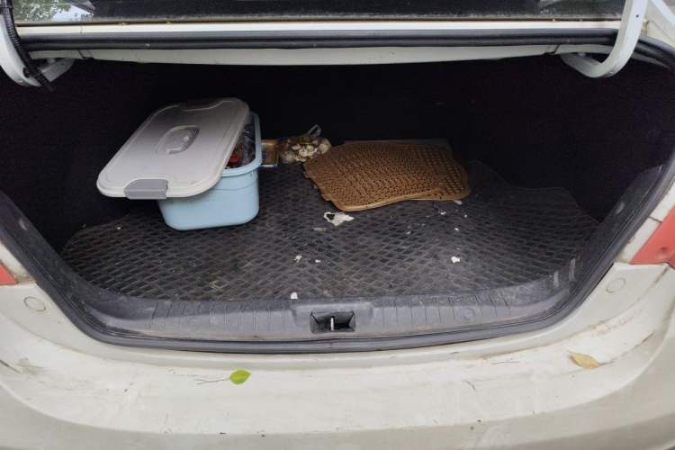 Used FORTHING S50 2021 Light & Nimble Edition Trunk