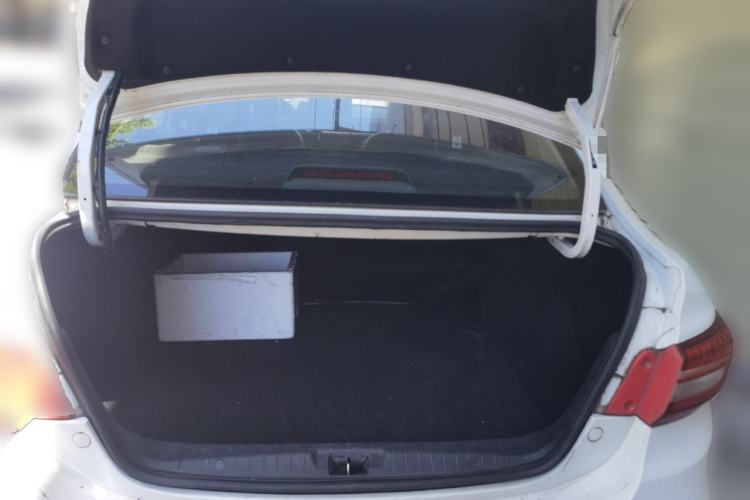 Used FORTHING S50 2021 Operational Type Trunk