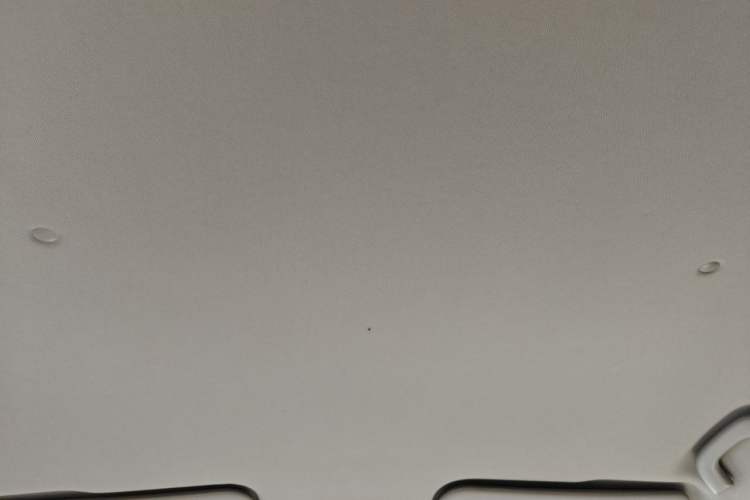 Used FORTHING S500 2016 1.6L Manual Luxury Edition Headliner